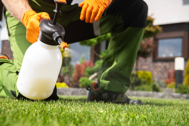 Professional Pest Control in Oak Lawn, IL