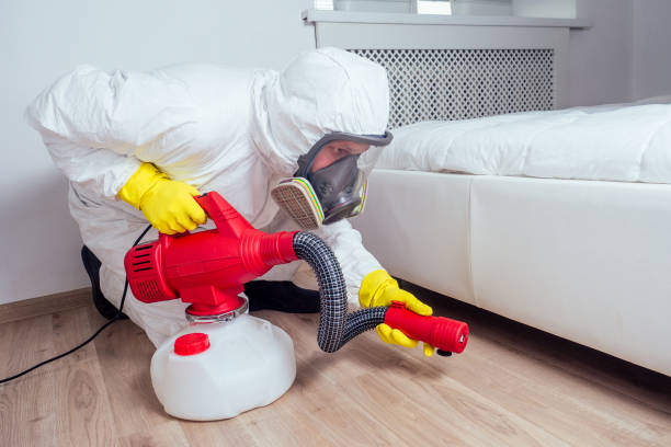 Best Pest Control Near Me in Oak Lawn, IL